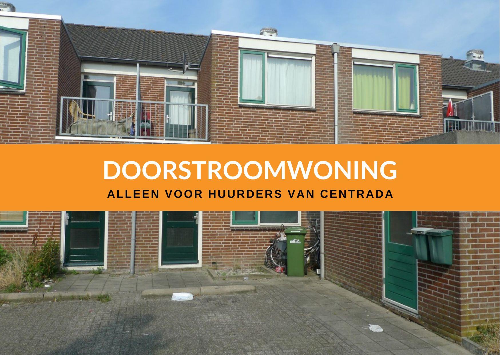 Noordzeestraat