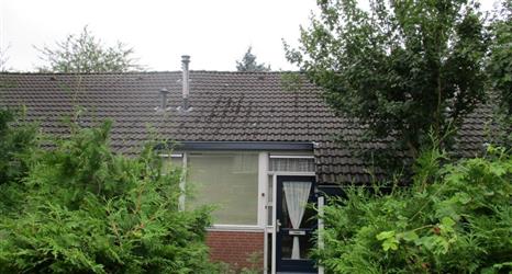 Plantage 86 Lelystad