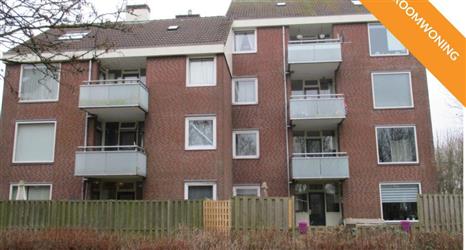 Punter 37 46 Lelystad